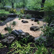 rock garden in the shade