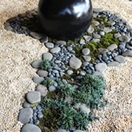 Sustainable Rock Garden