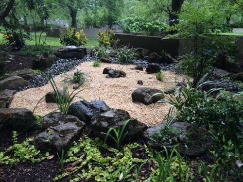 low light and sustainable rock gardens