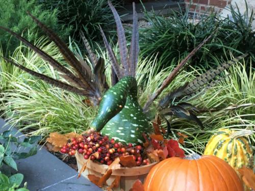 Fall baskets and decorations
