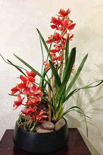 Orchid Flower Arrangment