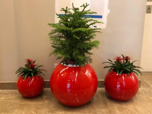 Holiday Interiors and Planters